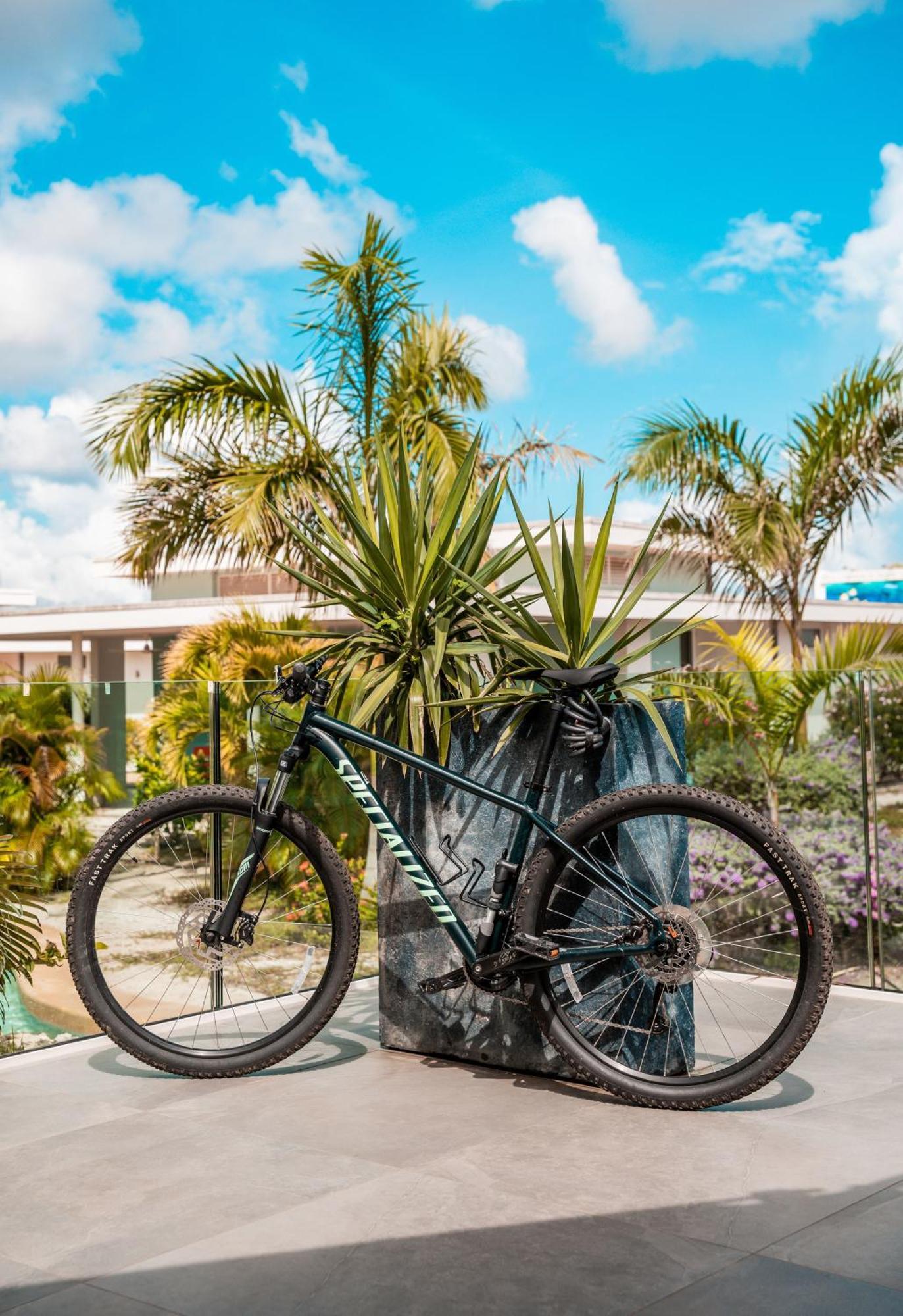 Chogogo Dive & Beach Resort Bonaire Playa Exterior foto